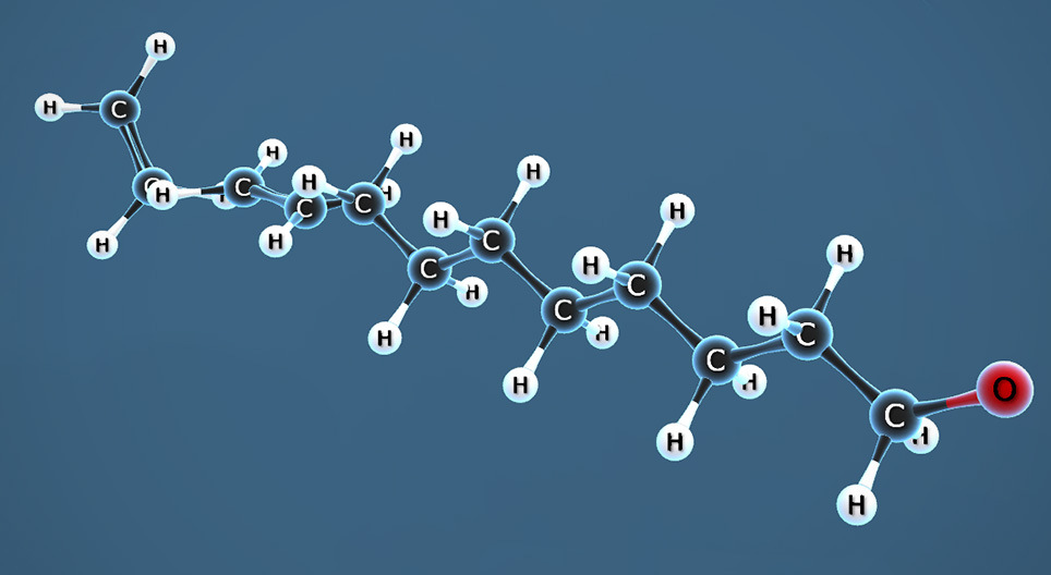 Phản ứng trùng hợp